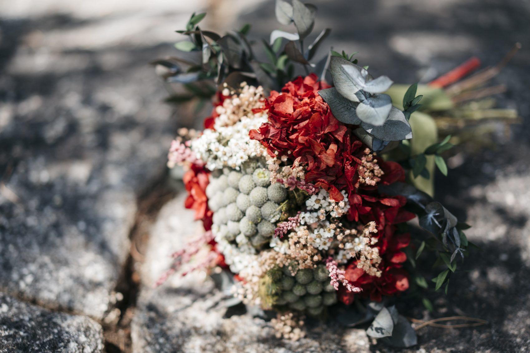 , PALOMA+JAVI-Boda &iacute;ntima al aire libre en San Mart&iacute;n de Valdeiglesias.
