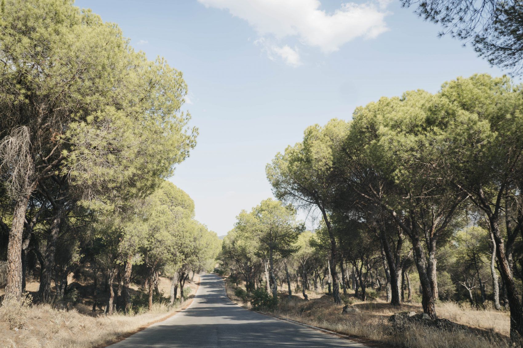 , PALOMA+JAVI-Boda &iacute;ntima al aire libre en San Mart&iacute;n de Valdeiglesias.