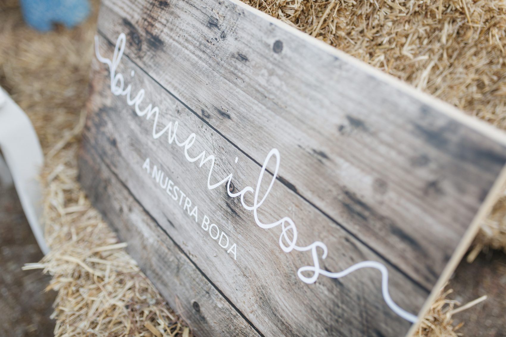 , PALOMA+JAVI-Boda &iacute;ntima al aire libre en San Mart&iacute;n de Valdeiglesias.